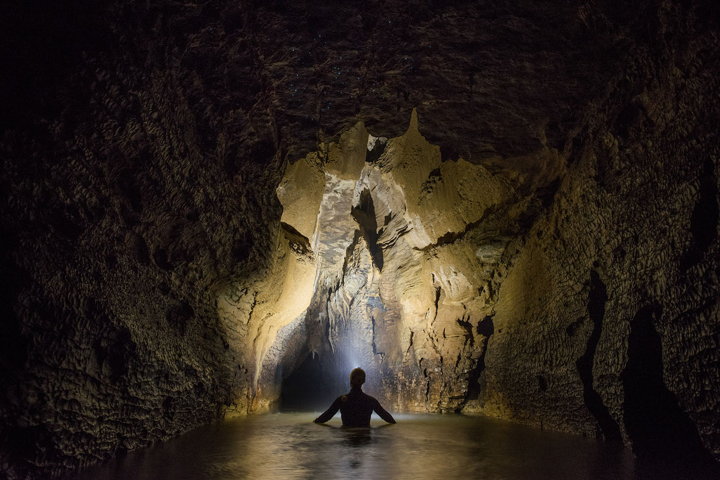 Waitomo Caves Tours